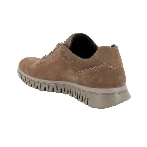 IGI&CO  cipela FANGO CHIARO