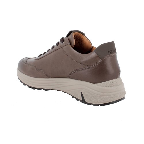 IGI&CO  tenisica CAFFE'