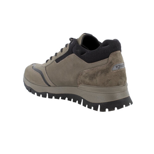 IGI&CO  tenisica BOSCO