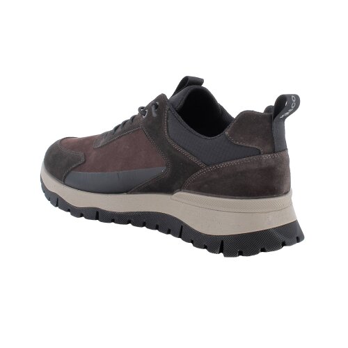 IGI&CO  tenisica CAFFE'