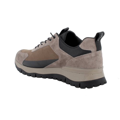 IGI&CO  tenisica FANGO SCURO