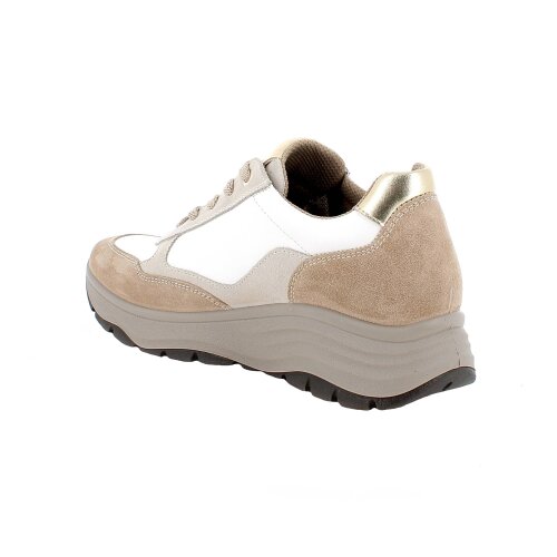 IGI&CO  tenisica BISCOTTO/BIANCO