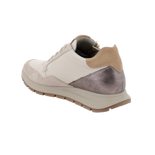 IGI&CO  tenisica AVORIO/VISONE