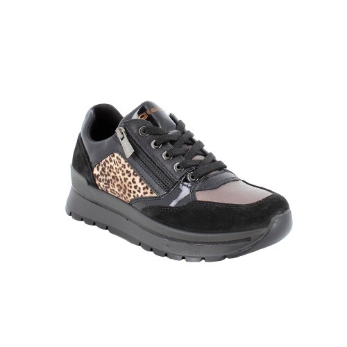 IGI&CO  tenisica NERO/MARRONE