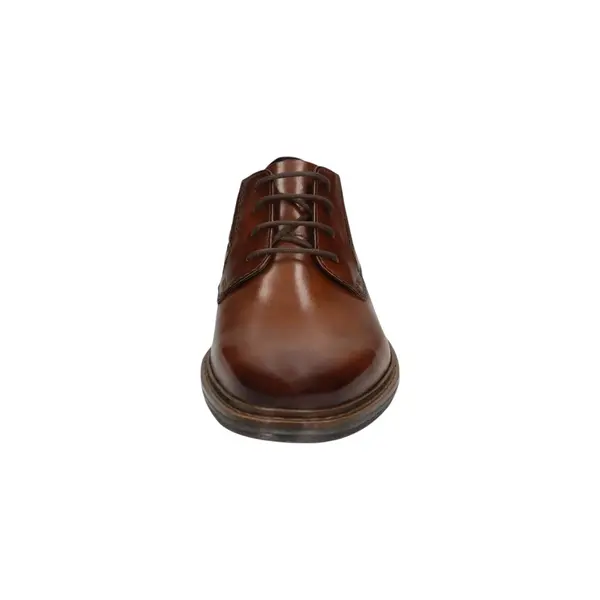 311-AOC03-1111-6361-460 Bugatti Muška cipela Rigalo Evo Cognac/Dark Brown