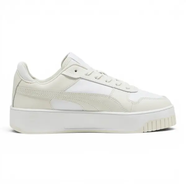 389390-32 Puma Carina Street