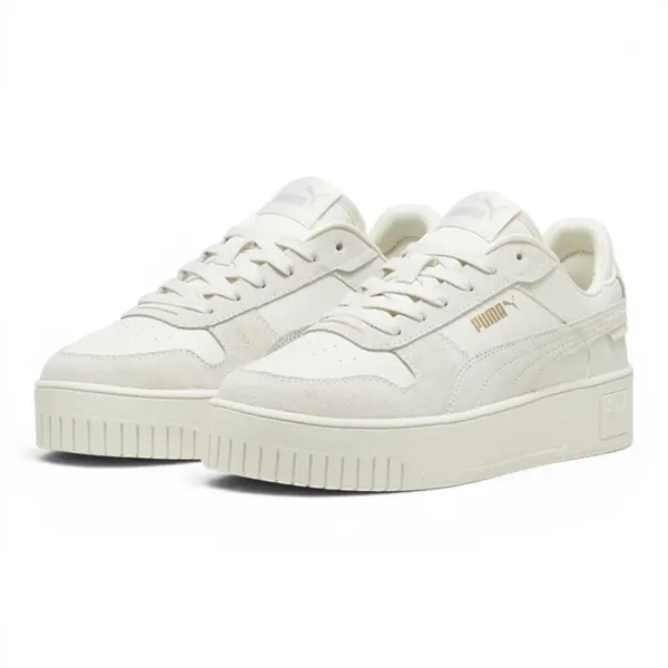 395093-02 Puma Carina Street SD