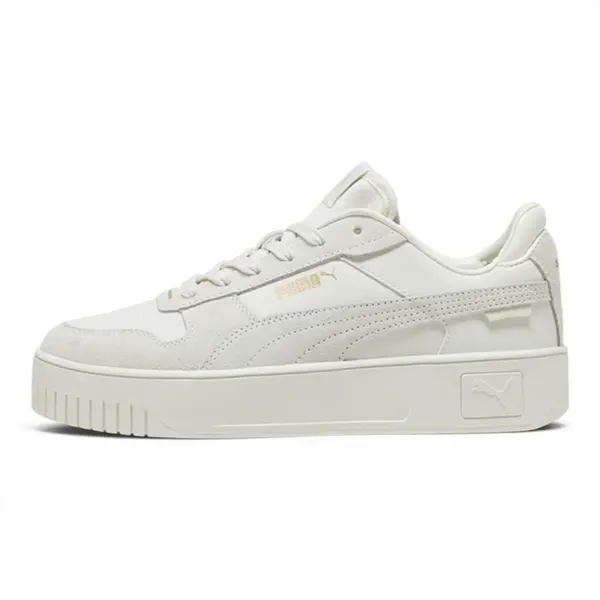 395093-02 Puma Carina Street SD