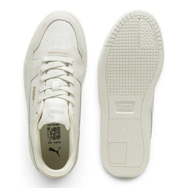 395093-02 Puma Carina Street SD