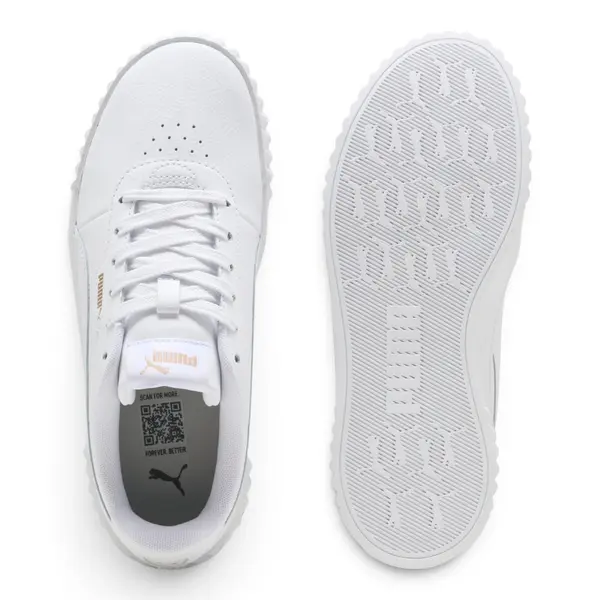 400365-01 Puma Carina 3.0