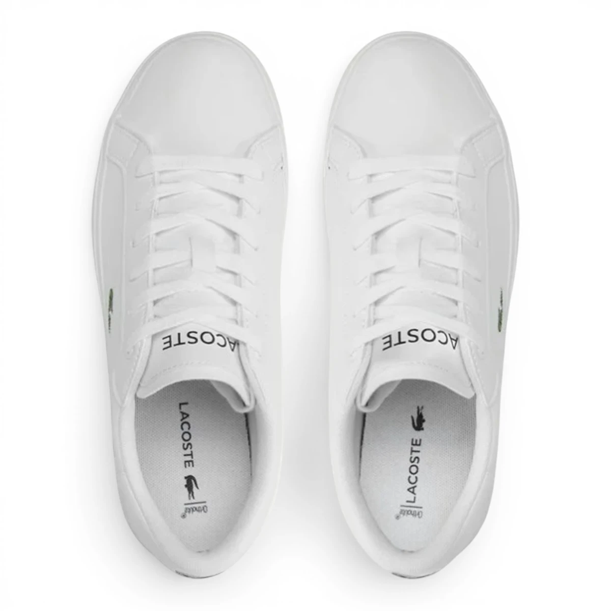 741SUJ0014-21G Powercourt bijele tenisice– Lacoste