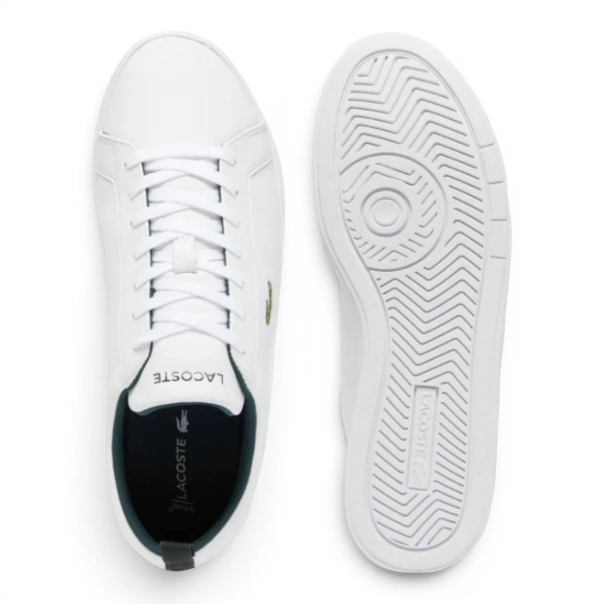 748SMA0112-1R5 Court Base bijele muške tenisice – Lacoste