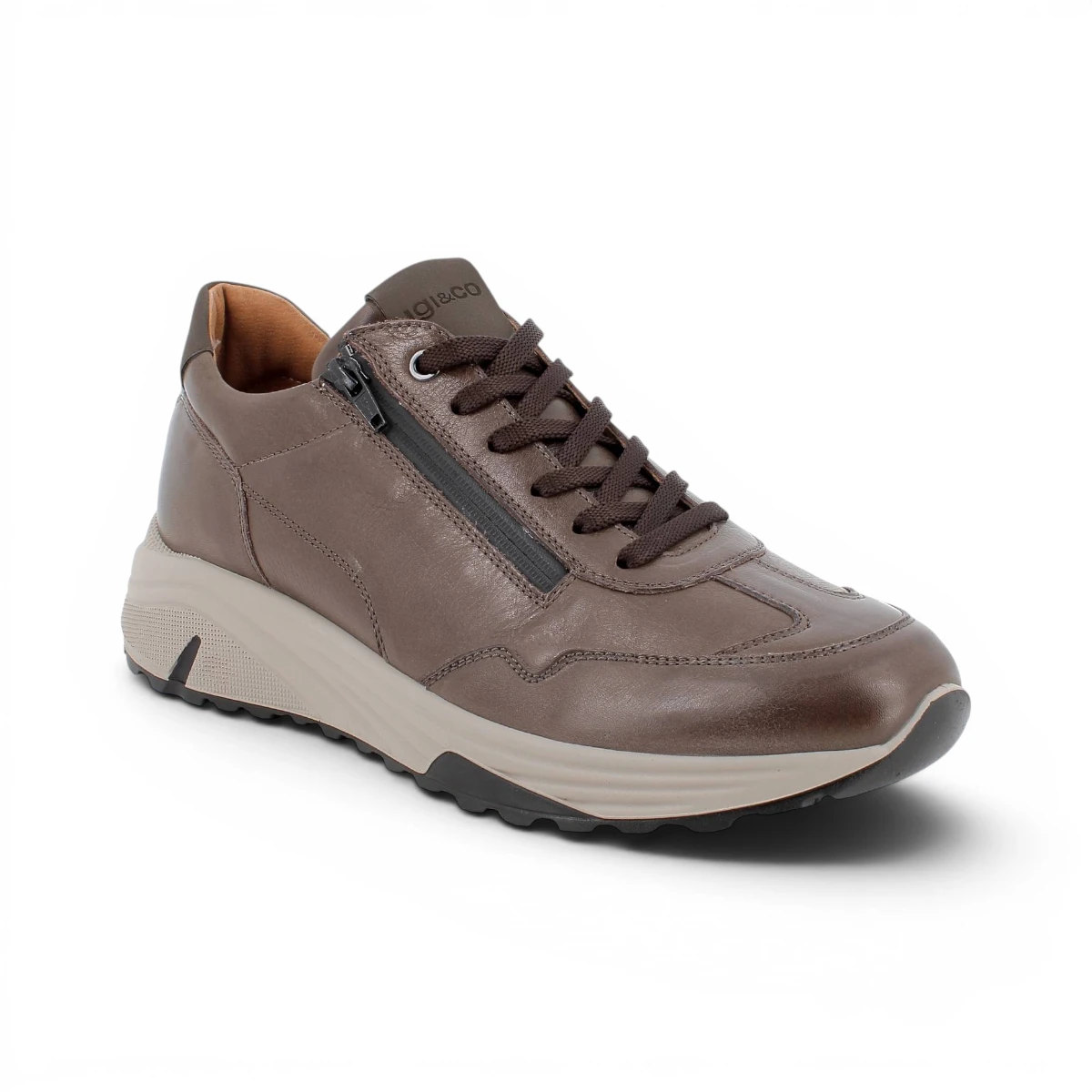 8640611 Caffe smeđe muške cipele-tenisice – IGI & CO